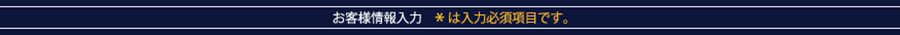 お客さま情報入力　＊は入力必須項目です。