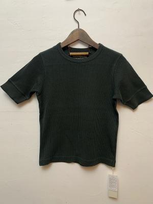 ピグメント針抜きT　JL251C11　ジョンブル