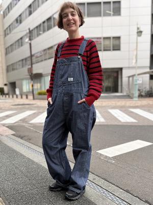OVERALL　HE253P01