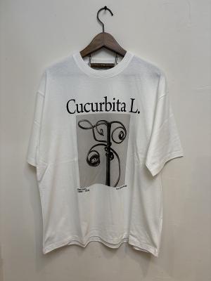 Karl　Blossfeldt　Cucurbita　L.　T　JT263C05